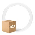 Multipack 10x Ledvance Tubo LED T9 Value Circolare (EM/Mains) 18.3W 2200lm - 840 Bianco Freddo | Sostitutiva 32W