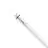 Philips Master Tubo LED T8 (EM/Mains) High Output T8 11.3W 2000lm - 830 Luce Calda -  | 120cm - Sostitutiva 36W