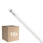 Multipack 10x Philips Master Tubo LED T8 (EM/Mains) High Output T8 7.6W 1150lm - 865 Luce Del Giorno | 60cm - Sostitutiva 18W